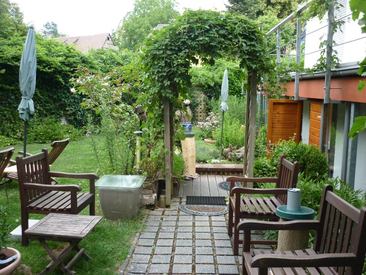 Haus Am Sandsteinbruch Zaberfeld Kültér fotó